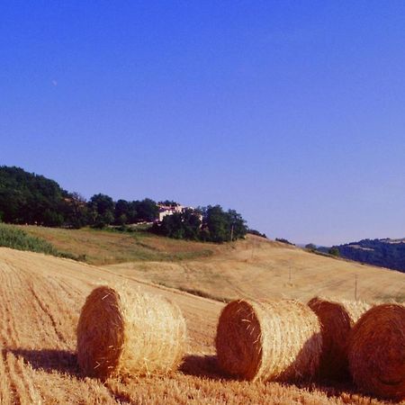 Appartement Agriturismo Il Fienile di Cà Battista à Cagli Extérieur photo