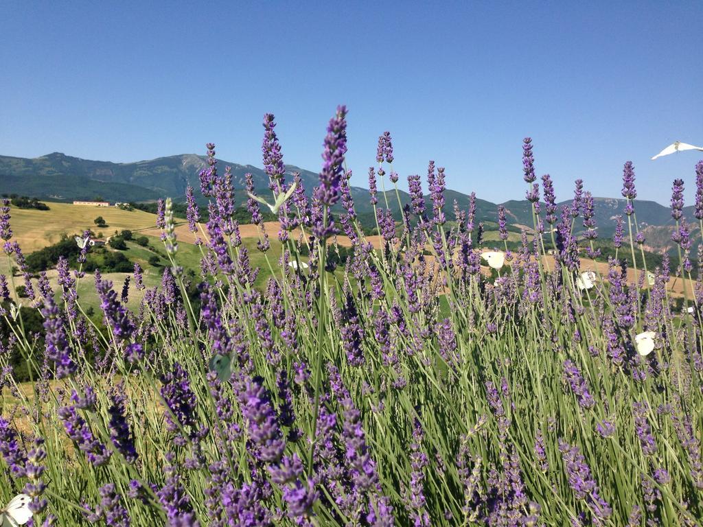 Appartement Agriturismo Il Fienile di Cà Battista à Cagli Extérieur photo