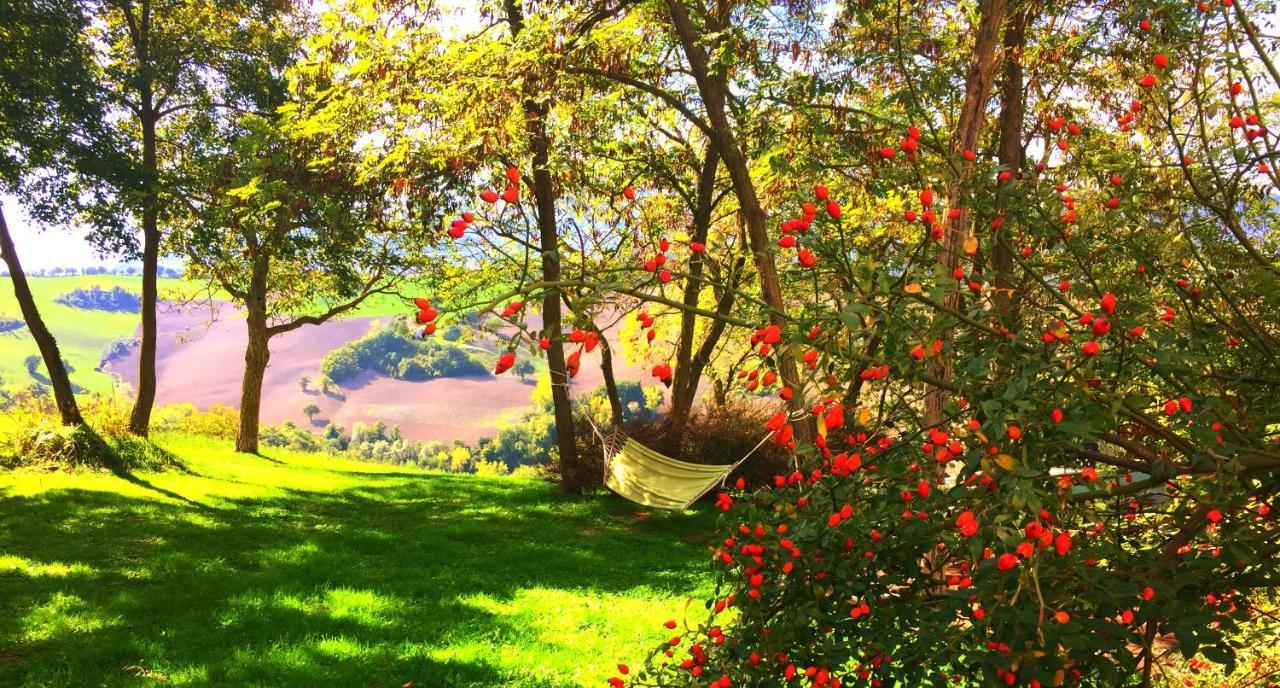 Agriturismo Il Fienile di Cà Battista Cagli Extérieur photo
