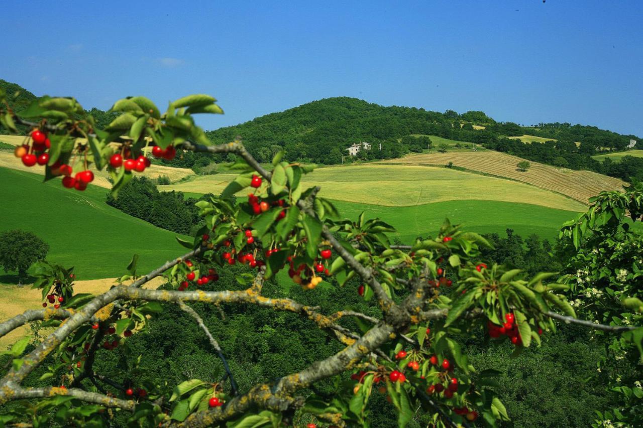 Agriturismo Il Fienile di Cà Battista Cagli Extérieur photo