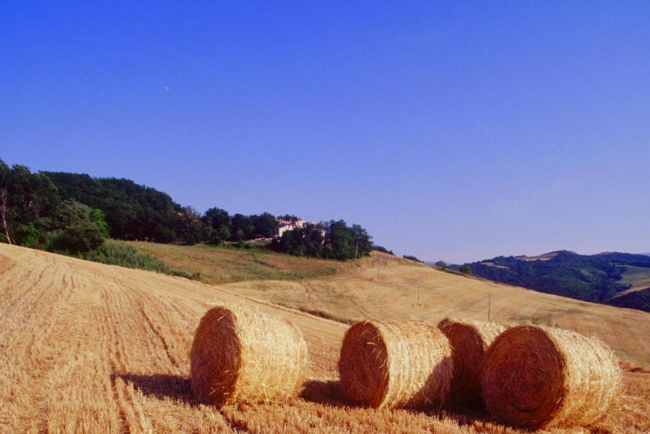 Appartement Agriturismo Il Fienile di Cà Battista à Cagli Extérieur photo